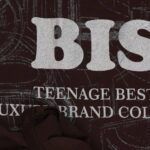 تیشرت لش باکسی پشت چاپ BIS